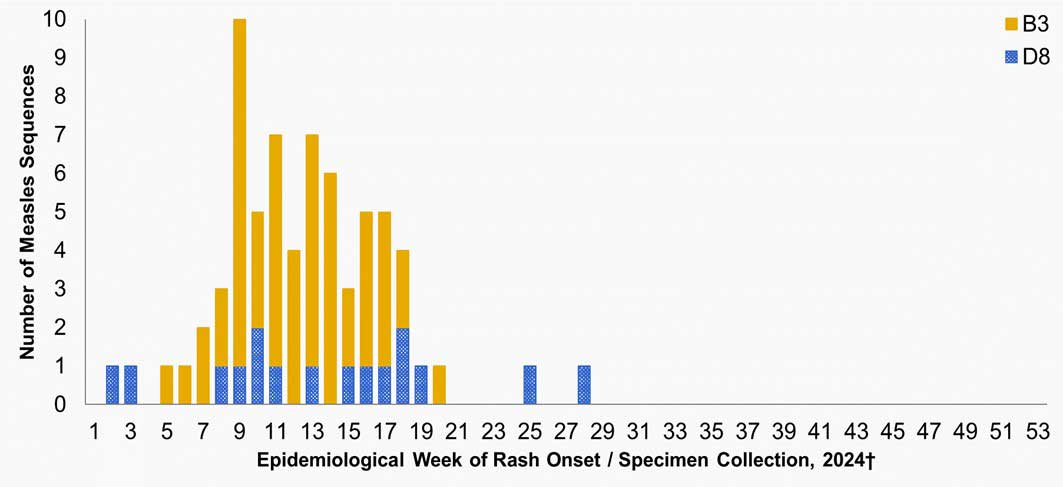 Figure 3. Text version below.