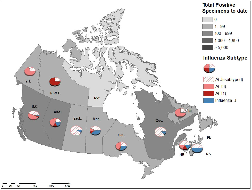 Figure 3. Text equivalent follows.