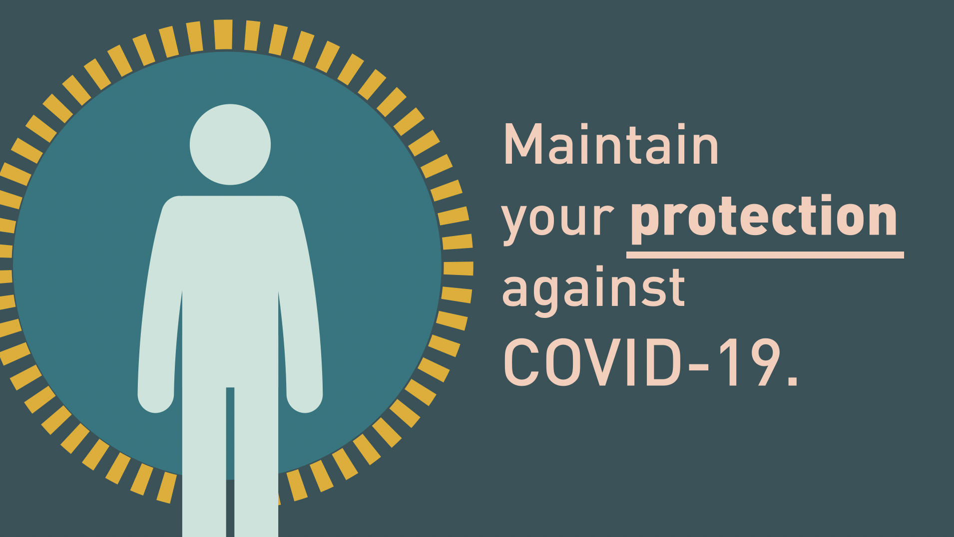 The vaccines are safe