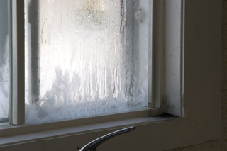 Recognize – Recognizing Mould