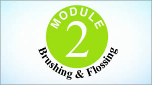 Brushing and Flossing