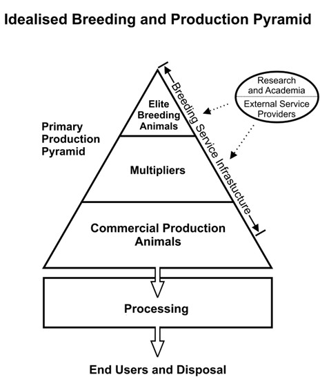 Figure 2. Text version below.
