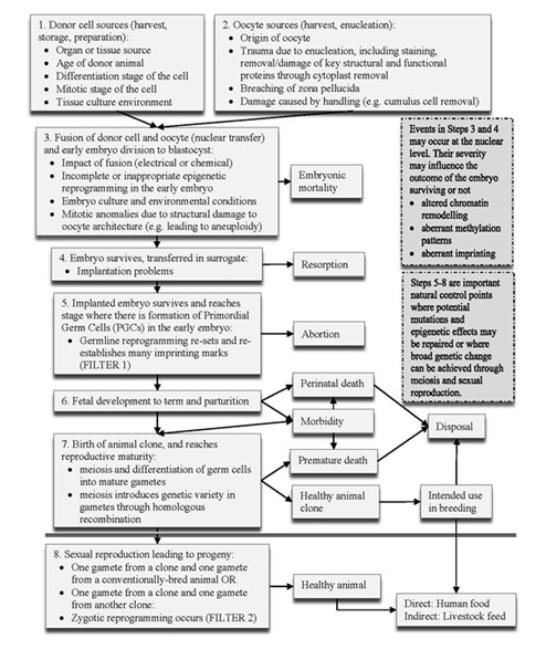 Figure 3. Text version below.