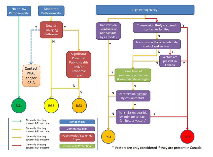 Human Risk Group Decision Flowchart