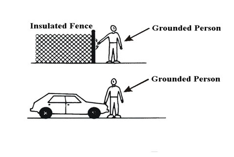 see text description