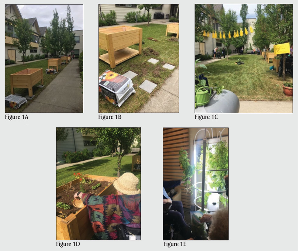 Figure 1. Text version below.