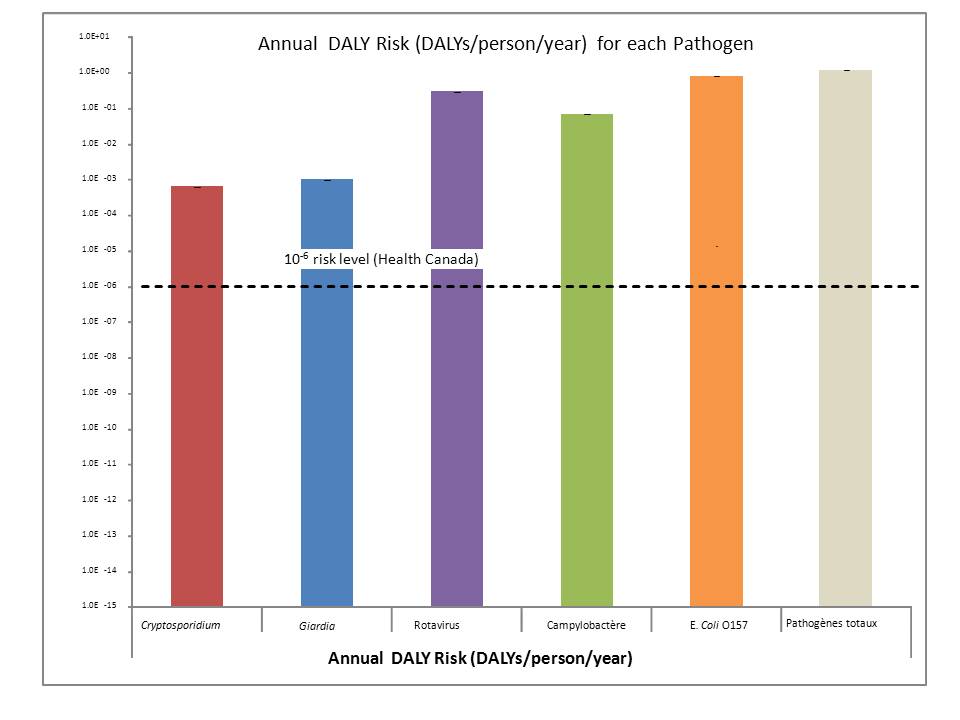 A bar graph showing the estimated annual burden of illness resulting from the consumption of untreated river water. The burden of illness is shown in DALYs per person per year for each of Cryptosporidium, Giardia, rotavirus, Campylobacter, E. coli O157:H7 and the total DALYs for these pathogens combined. 