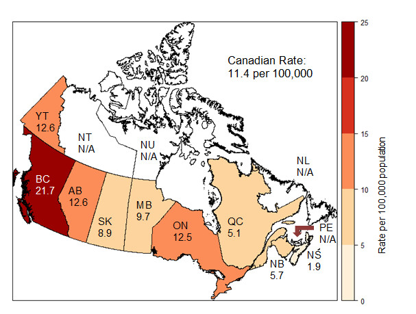 Text Description below