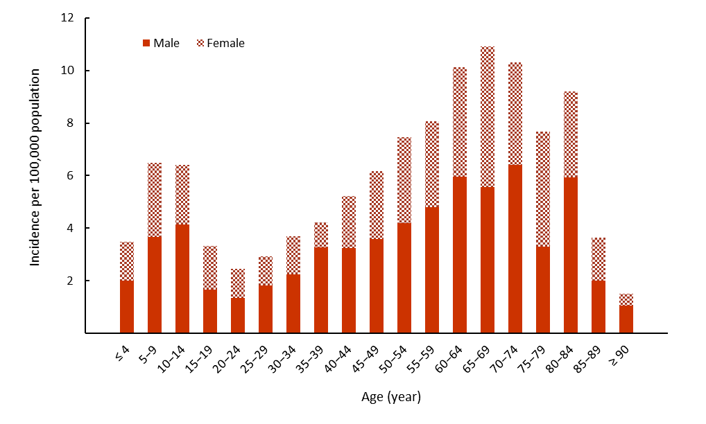 Figure 4. Text version below.