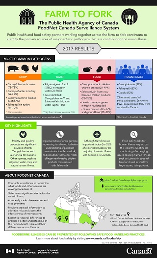 infographic thumbnail