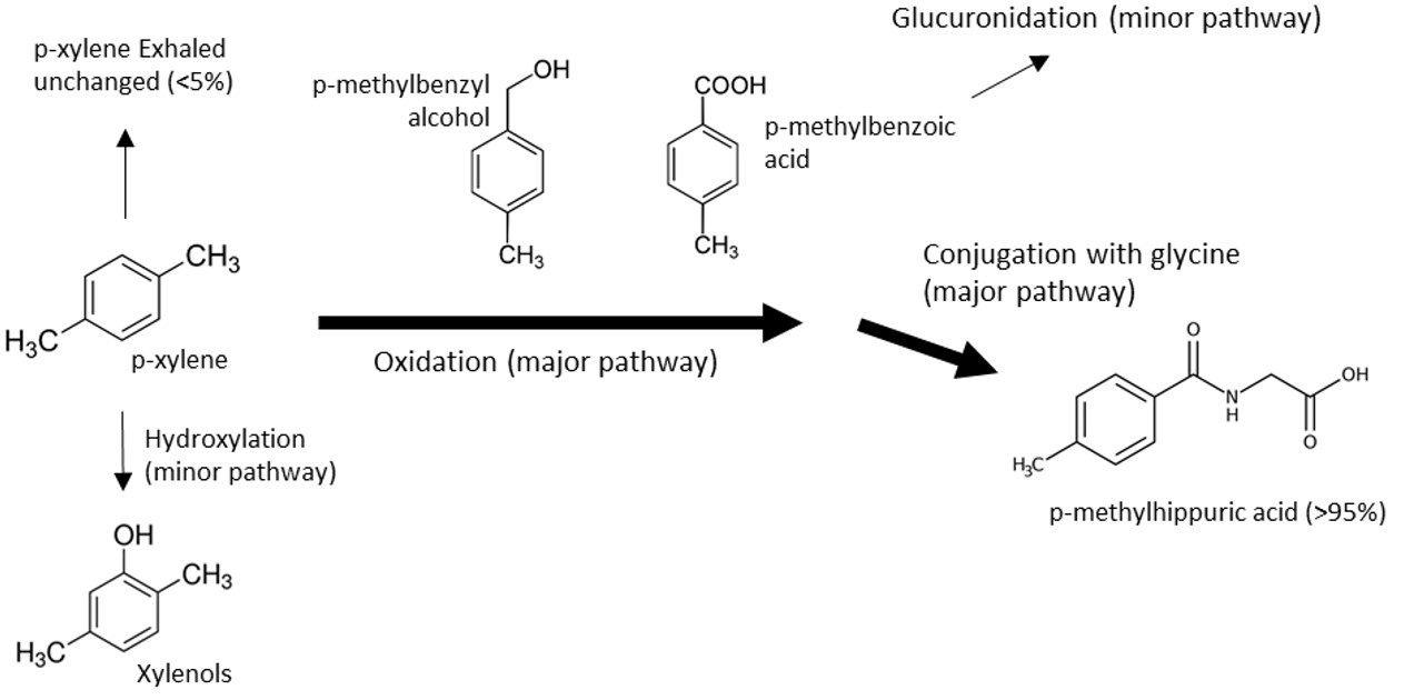 Figure 3. Text version below.
