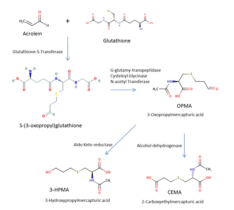 Figure 3. Text version below.