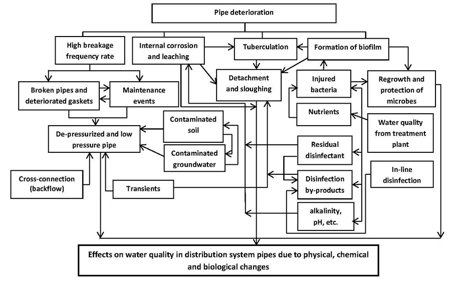 Figure 4. Factors contributing to deterioration of water quality in the drinking water distribution system (Source: Sadiq et al., 2009. Adapted and reprinted with permission.<sup>©</sup>AwwaRF)