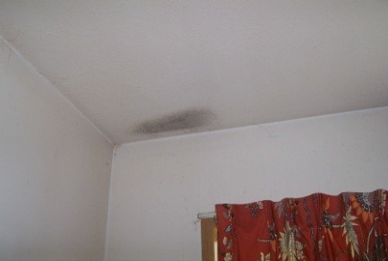 Figure 1. Text version below.