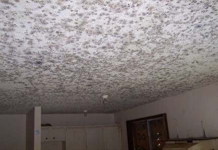 Figure 3. Text version below.