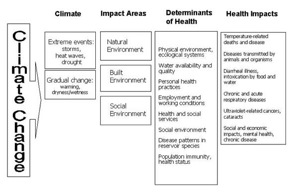 Figure 2: Dynamics of Climate Change and Health