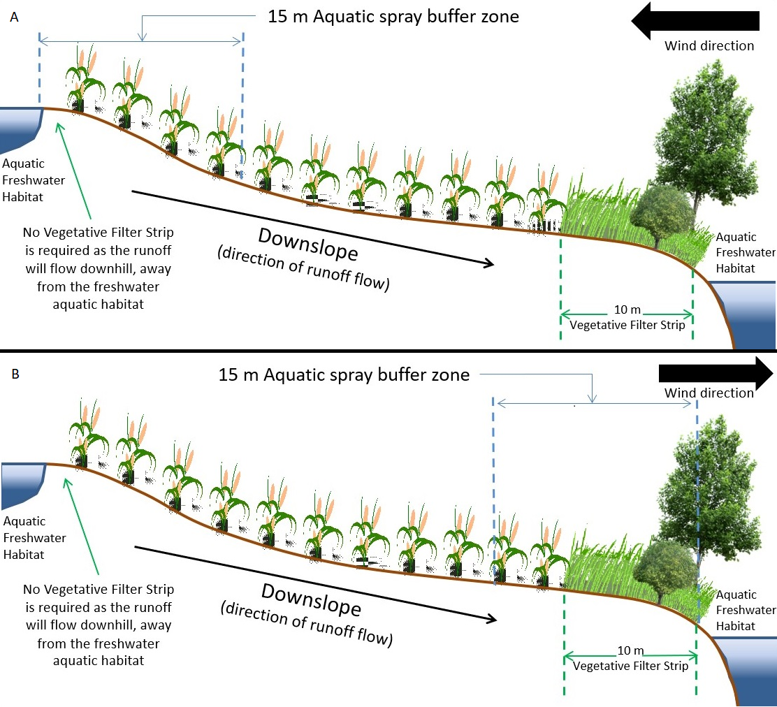 Figure A and B. Text version below.