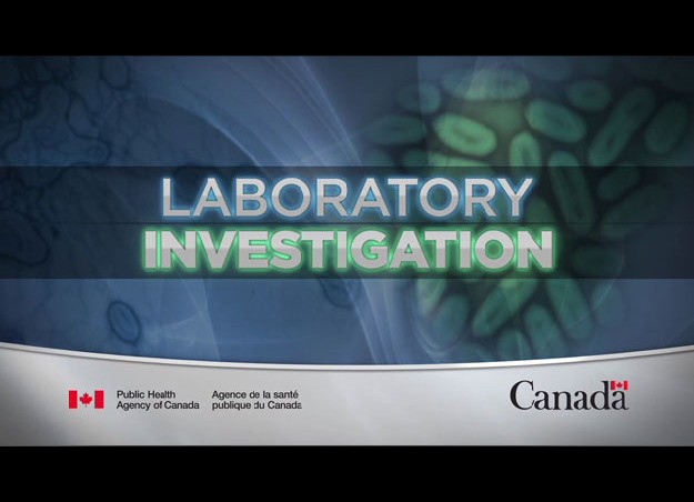 Laboratory Investigation