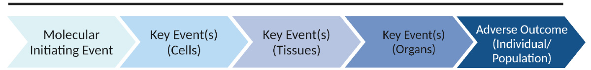 A linear process graph demonstrating the key elements of a simplified adverse outcome pathway.