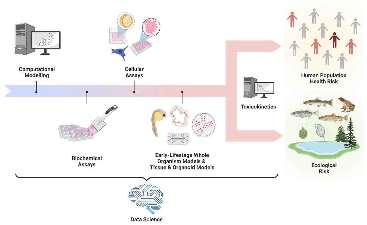 Text description before image