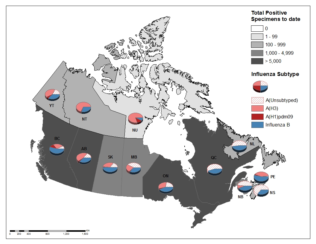 Figure 3. Text version below.