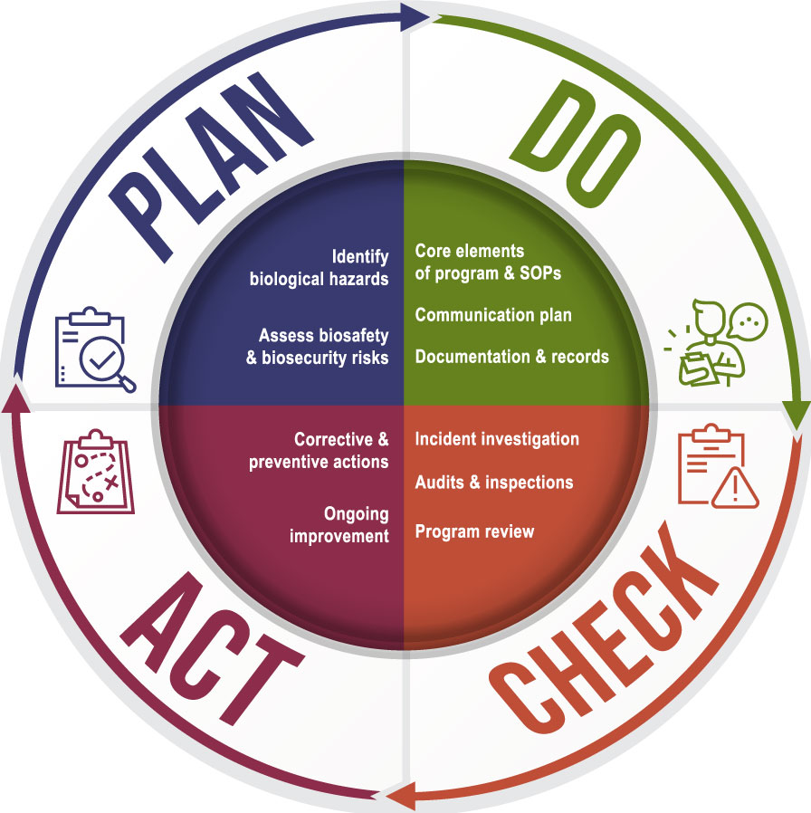 Figure 2: The Plan, Do, Check, Act cycle applied to biosafety program management.