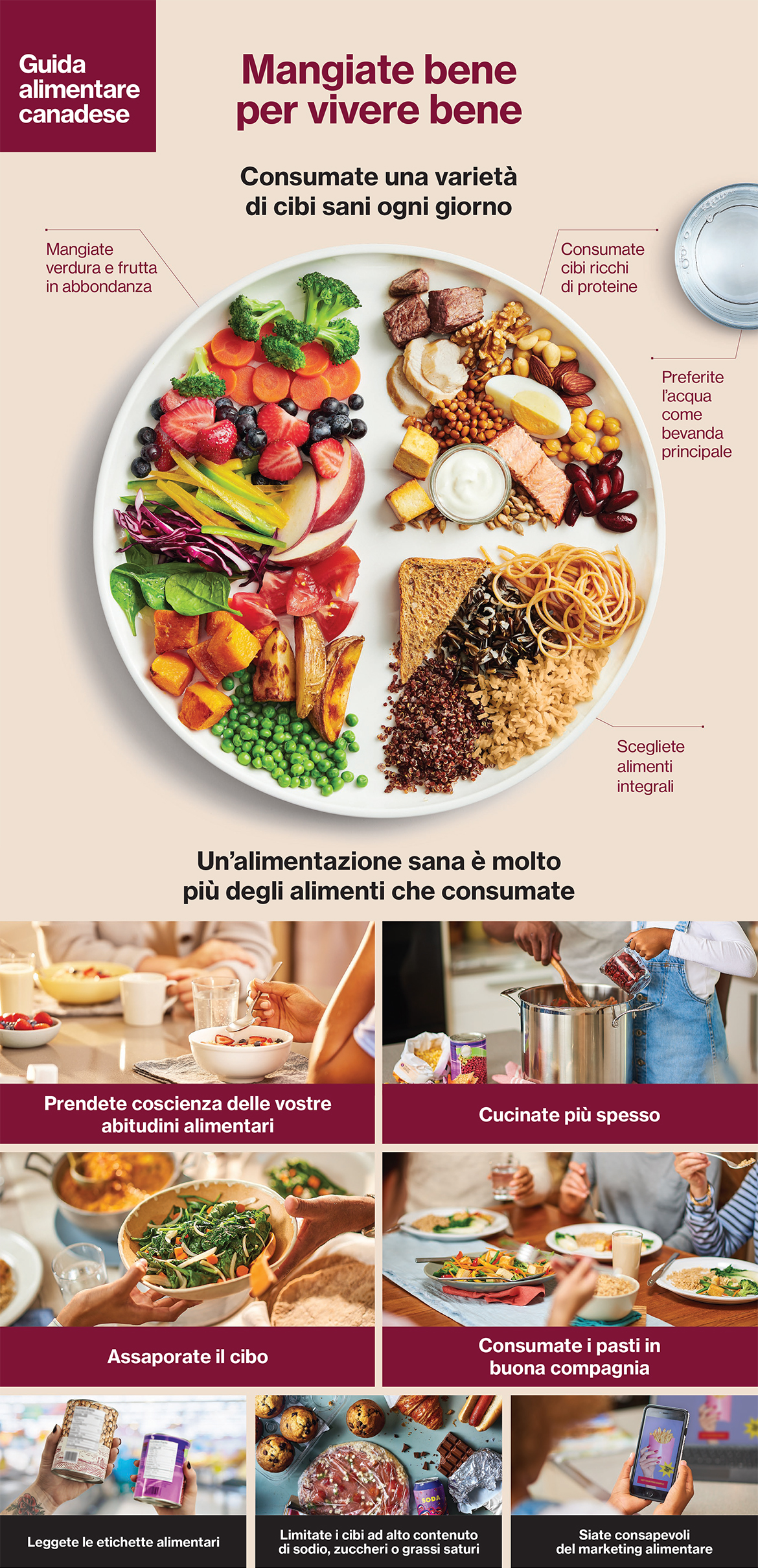 Figure 1. Text version below.