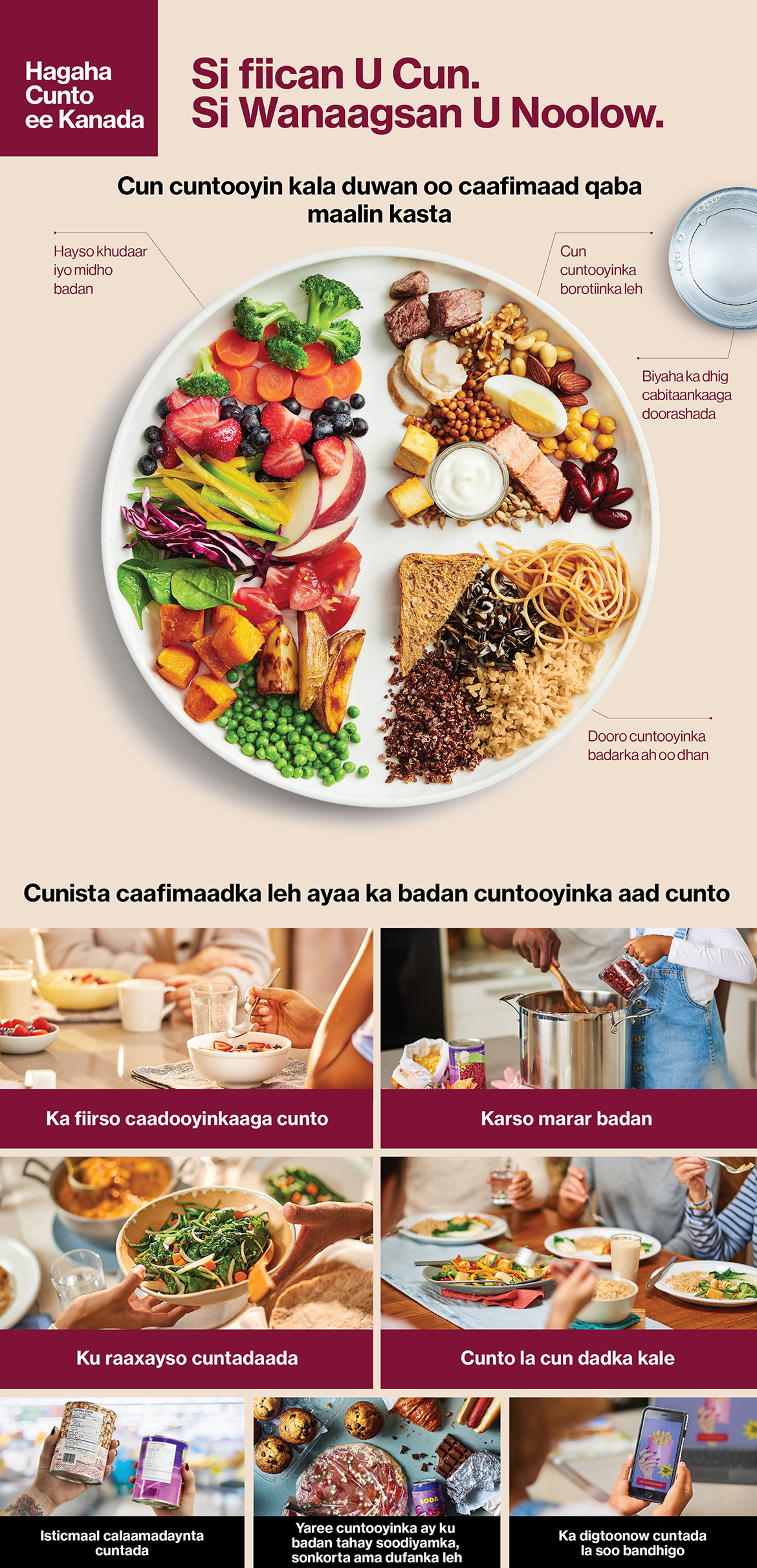 Figure 1. Text version below.