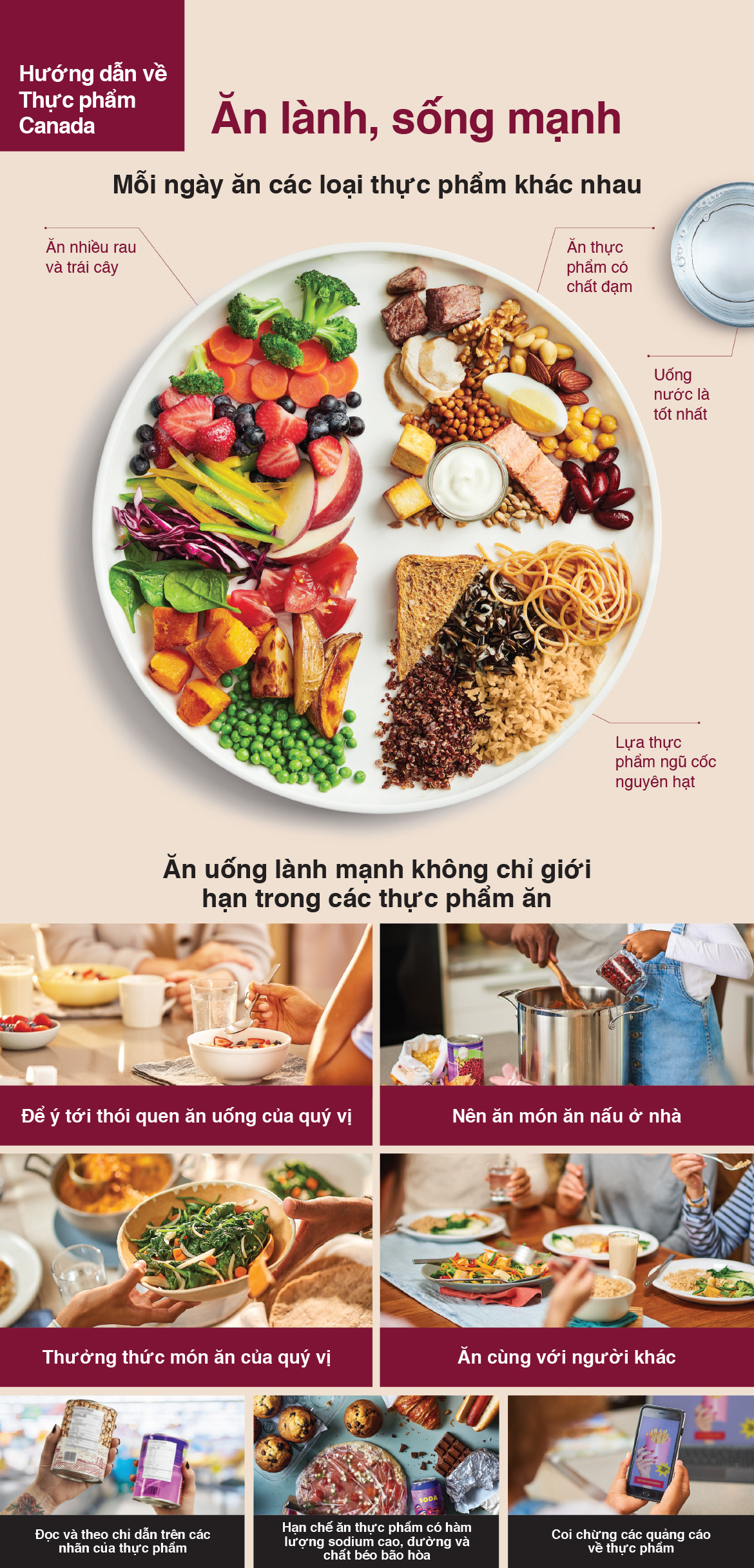 Figure 1. Text version below.