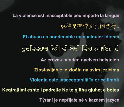 Abuse is wrong in any language