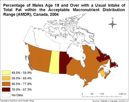 Percentage of Males Age 19 and Over with a Usual Intake of Total Fat within the Acceptable Macronutrient Distribution Range, Canada (2004)