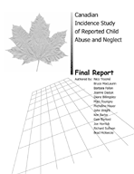 Canadian Incidence Study of Reported Child Abuse and Neglect - image