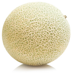 Whole cantaloupe melon