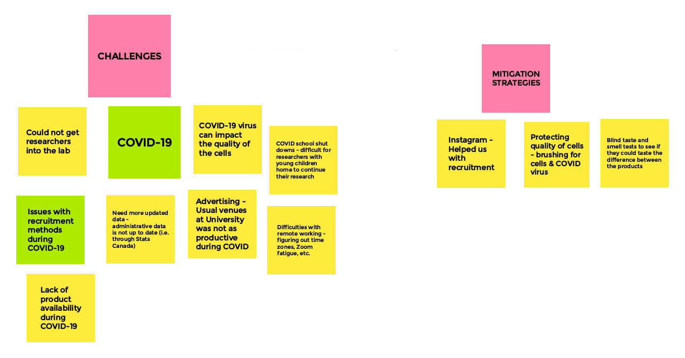 Whiteboard: Research Related Challenges and Mitigation Strategies - Board 2