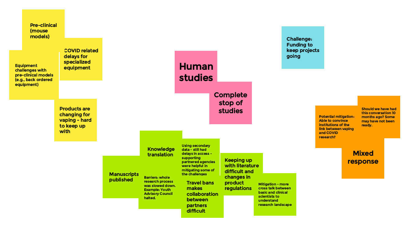 Whiteboard: Research Related Challenges and Mitigation Strategies - Board 4