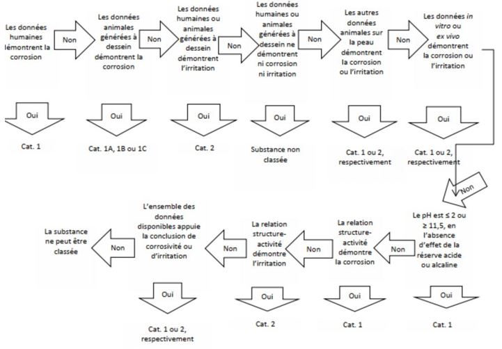 Schéma de la séquence d'évaluation du potentiel de corrosion et d'irritation de la peau.