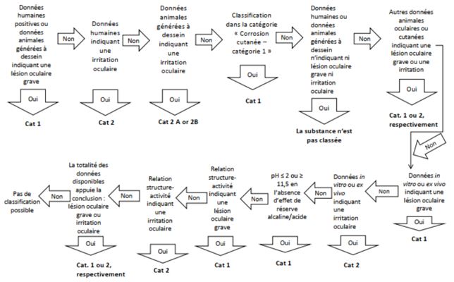 Un schéma de la séquence d'évaluation des lésions oculaires graves et de l'irritation oculaire.