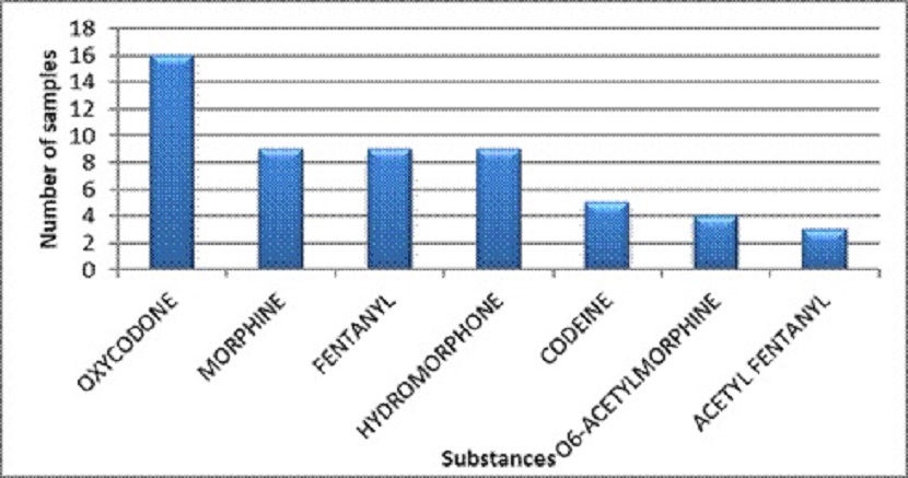Main opioids identified in Newfoundland and Labrador in 2020