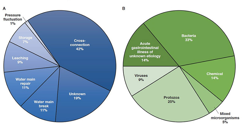 Figure 2. Waterborne outbreaks associated with distribution systems in the United States, 1981-2010, by system fault (A) and etiology (B). Adapted and reprinted with permission from Renwick et al., 2019.