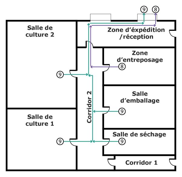 Figure 4. La version textuelle suit.