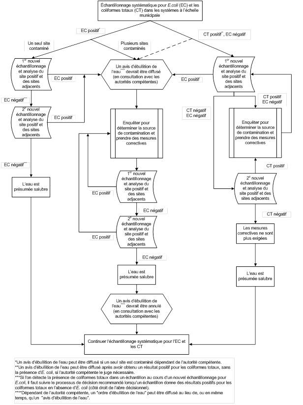 annexea