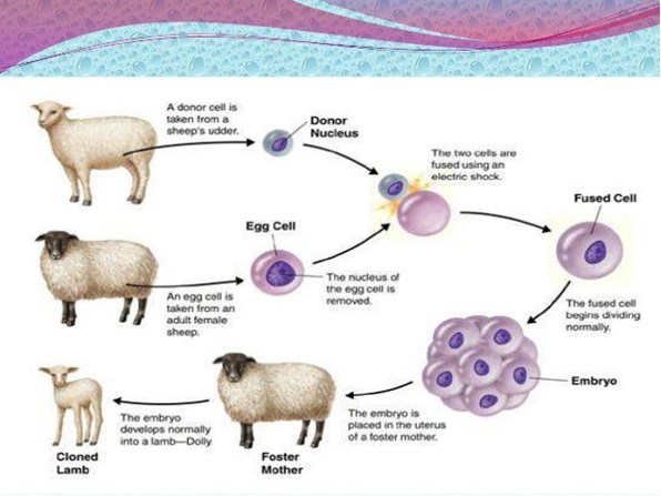 Figure 1. Text version below.