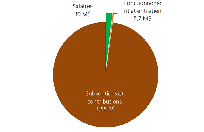 Le diagramme à secteurs montre la répartition des dépenses de la Direction générale de la politique stratégique pour 2019 2020.