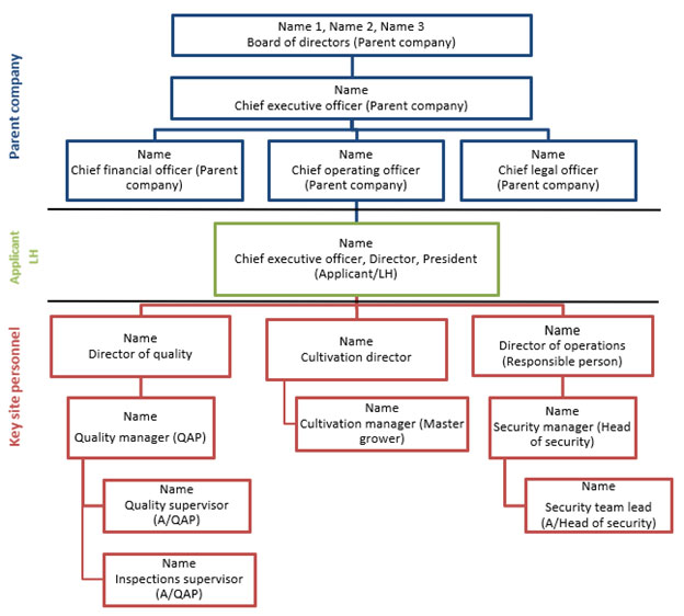 example org chart
