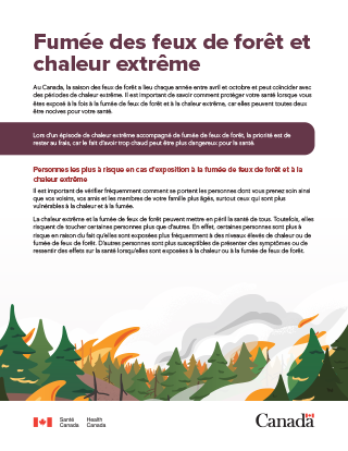 Fumée feux de forêt 101 : Effets combinés de la fumée des feux de forêt et de chaleur