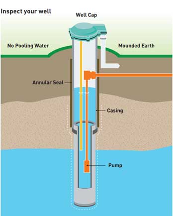 Figure #. Text version below.