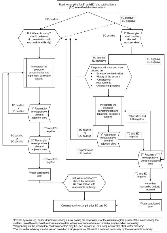 A decision tree for determining the recommended actions for responding to E. coli and total coliform positive samples, collected during routine monitoring of semi-public systems