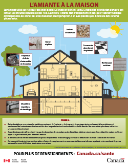 Miniature pour l'Infographie de L'amiante à la maison