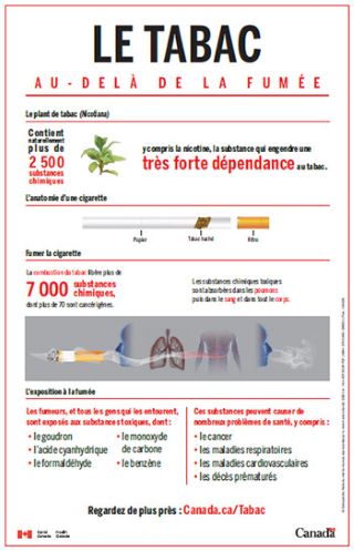 Une affiche blanche avec le titre&nbsp;: Le tabac&nbsp;: au-delà de la fumée
