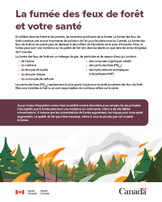 La fumée des feux de forêt et votre santé